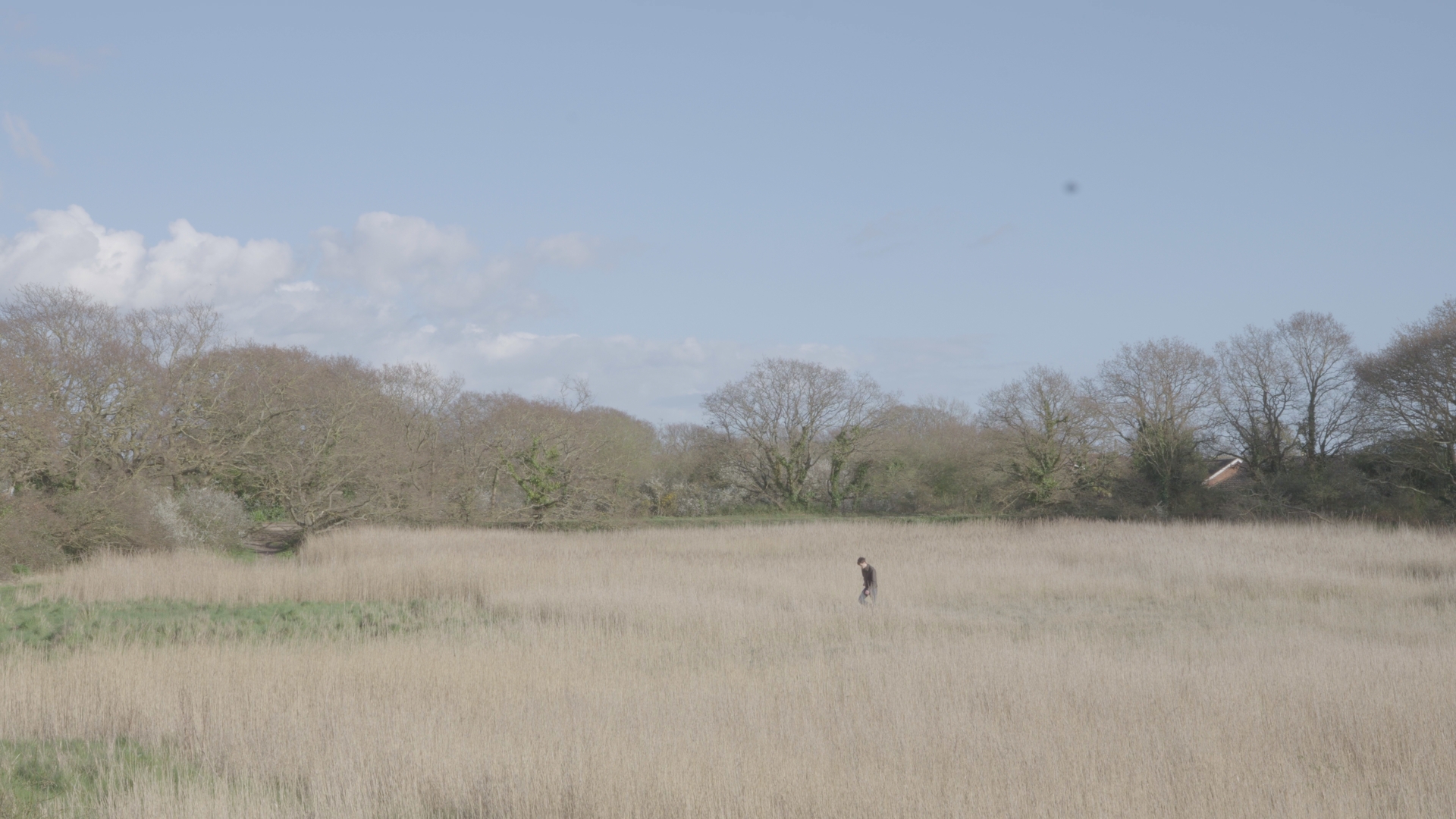 Hippie film thumbnail 1